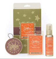 scentsy candle bar