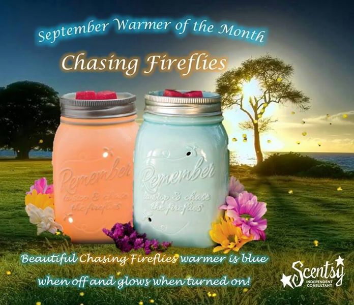 Chasing Fireflies Scentsy Warmer
