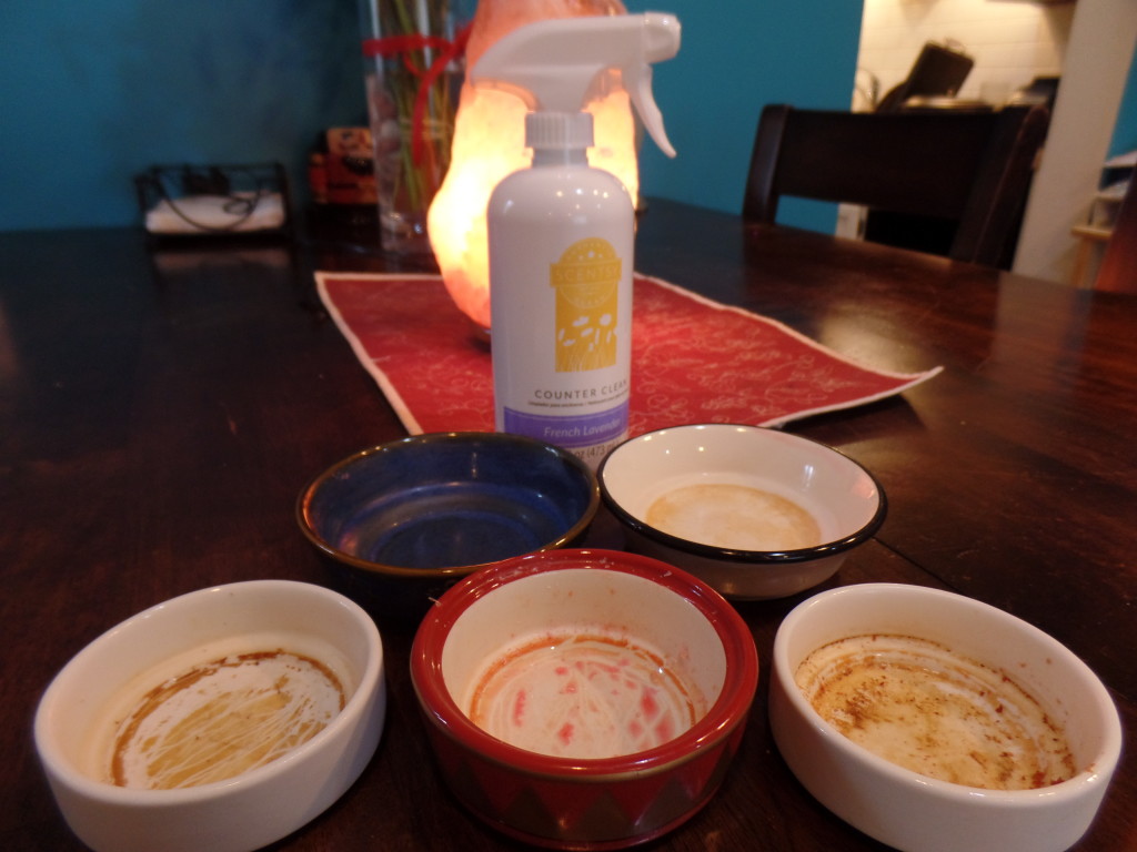 Scentsy Counter Clean