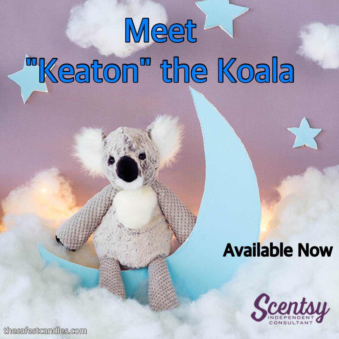 Keaton the Koala Bear Scentsy Buddy