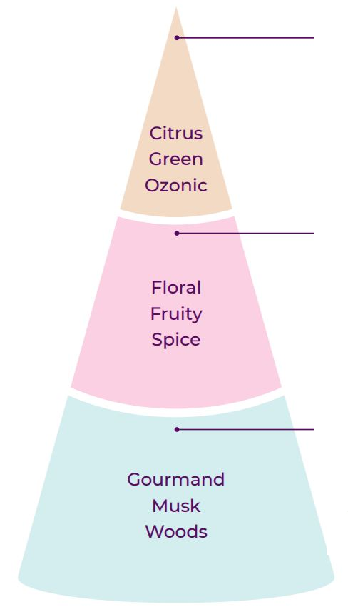 Structure of Scentsy fragrance design