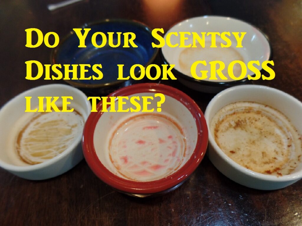 Scentsy Dirty Dish